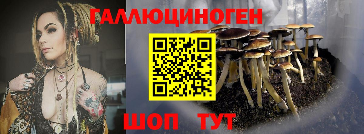 Галлюциногенные грибы MAGIC MUSHROOMS Сунжа