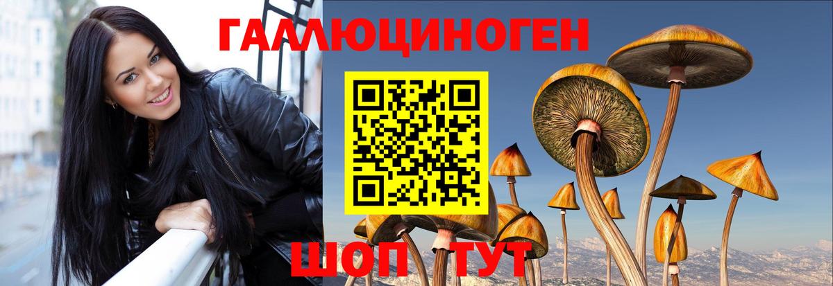Галлюциногенные грибы Psilocybine cubensis  Вход с VPN  Сунжа 